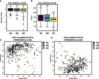 Salivary Microbiota for Gastric Cancer Prediction: An Exploratory Study